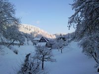 Garten_Winter (3) (640x480)