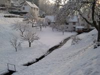 Garten_Winter (7) (640x480)